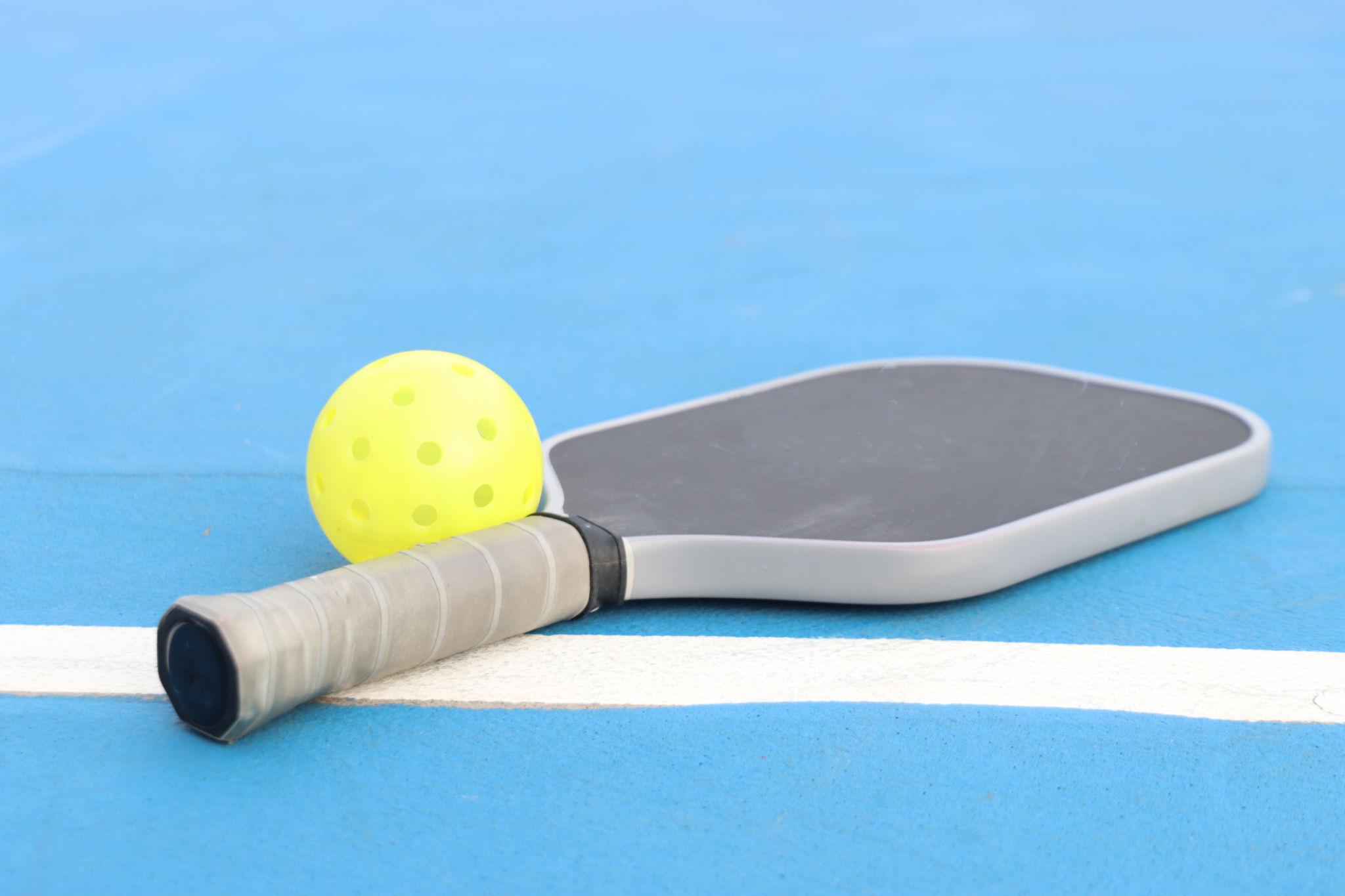 best pickleball paddle for beginners 2026